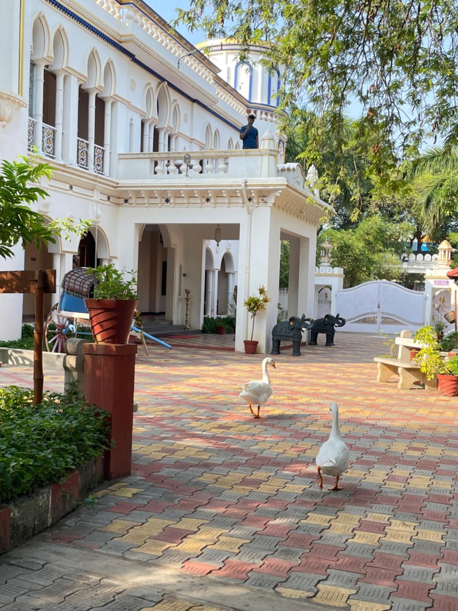 Chola Heritage Resort Kāraikkudi Eksteriør bilde